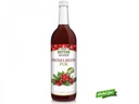 BIO Preiselbeere pur/750ml 100% Direktsaft