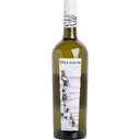 Sauvignon Trevenezie IGP, 2024