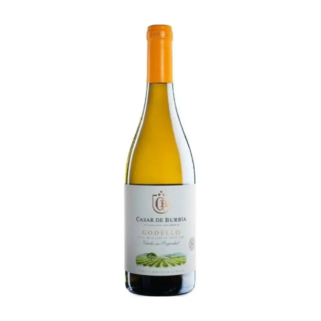 Godello Bierzo DO, 2024