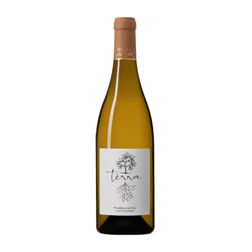 Tèrra Blanc AOP Languedoc, 2024