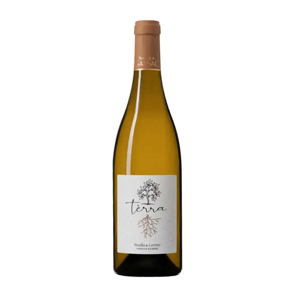 Tèrra Blanc AOP Languedoc, 2023