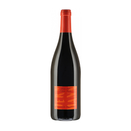 Fläscher Pinot Noir AOC Graubünden, 2018