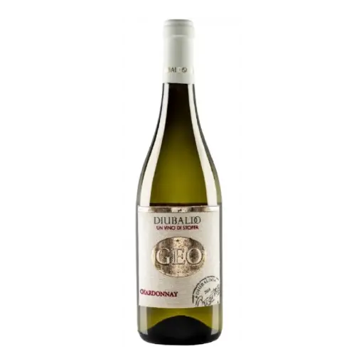 Geo Chardonnay Colli Aprutini IGT, 2020